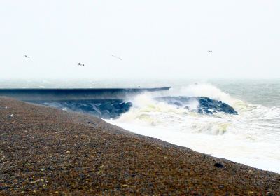 Maidstone Park Beach