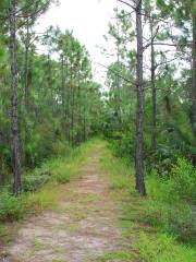 Calusa Heritage Trail