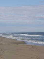 Lecount Hollow Beach