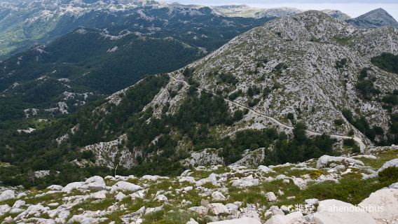 Sveti Jure