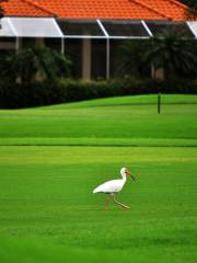 Oak Hills Park Golf Course