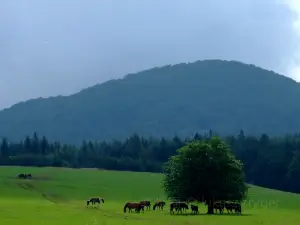 Ostrzyca Proboszczowicka