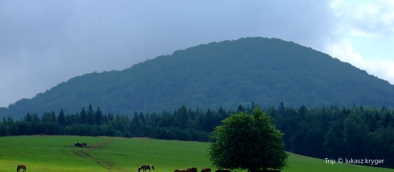 Ostrzyca Proboszczowicka