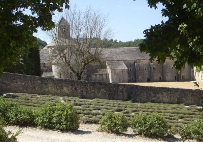 Abbaye Notre-Dame de Senanque