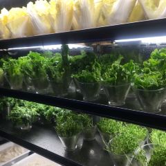 JIA CAN HAI XIAN ZI ZHU User Photo