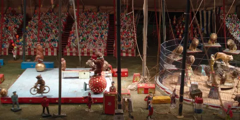 美國薩拉索塔 · 薩拉索塔馬戲團表演