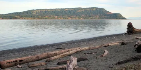 Fillongley Provincial Park