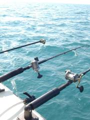 Voyager Deep Sea Fishing & Dolphin Cruises