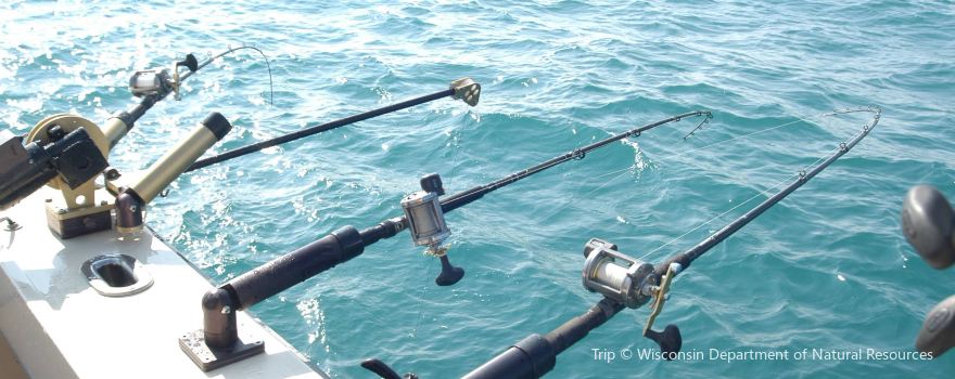 Voyager Deep Sea Fishing & Dolphin Cruises