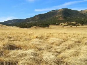 華爾利斯火山口國家保護區