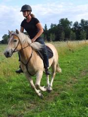 Gite Equestrian Ranch du Bel Air