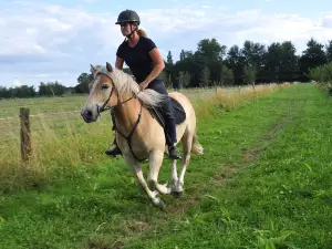 Gite Equestrian Ranch du Bel Air