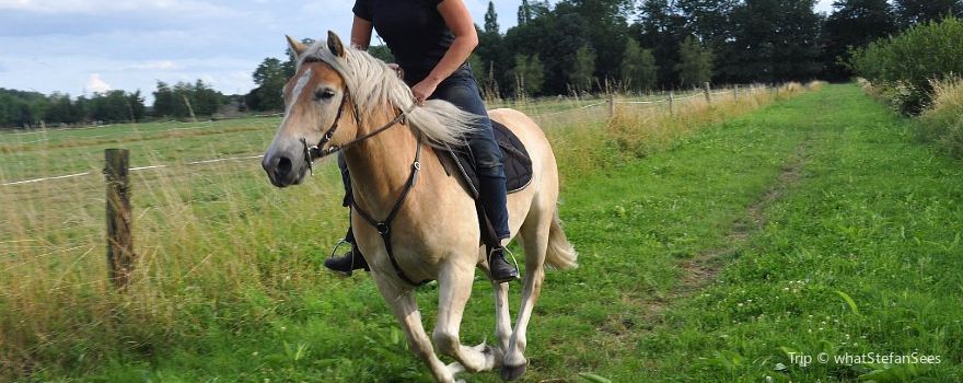 Gite Equestrian Ranch du Bel Air