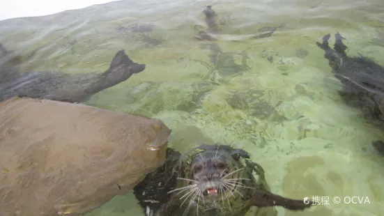 シーサイド水族館