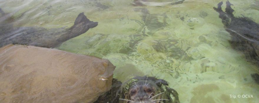 Seaside Aquarium
