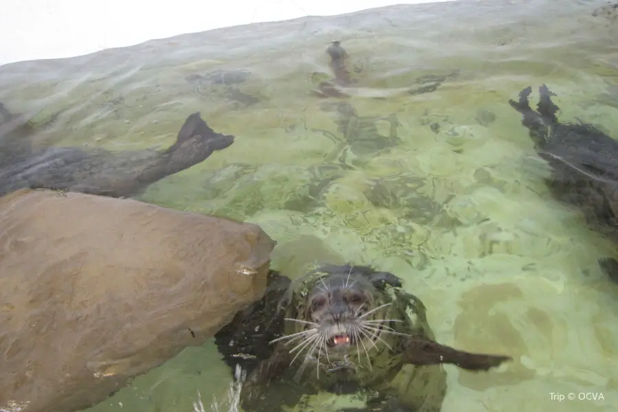 Seaside Aquarium