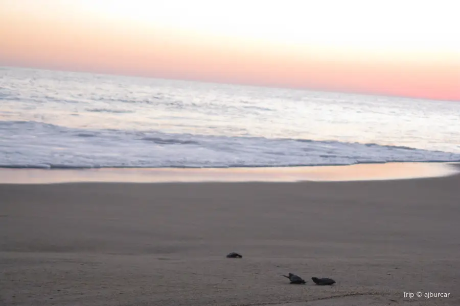 Hollywood North Beach Park