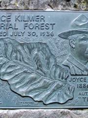 Joyce Kilmer Memorial Forest