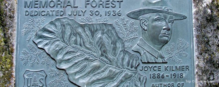 Joyce Kilmer Memorial Forest, Cheoah Ranger District, Nantahala National Forest