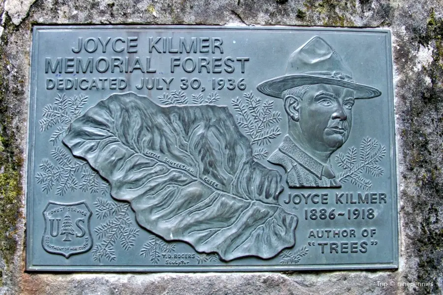 Joyce Kilmer Memorial Forest