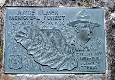 Joyce Kilmer Memorial Forest