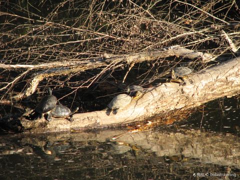 Turtle River State Park
