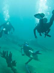 Sea Hawk Divers