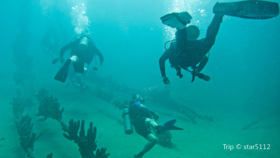 Sea Hawk Divers