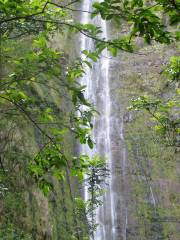 Hike Maui