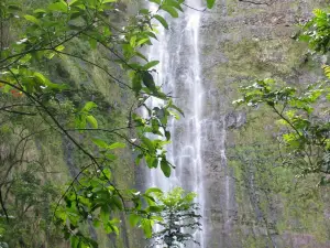 Hike Maui