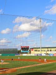 Roger Dean Chevrolet Stadium