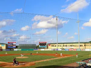 Roger Dean Chevrolet Stadium