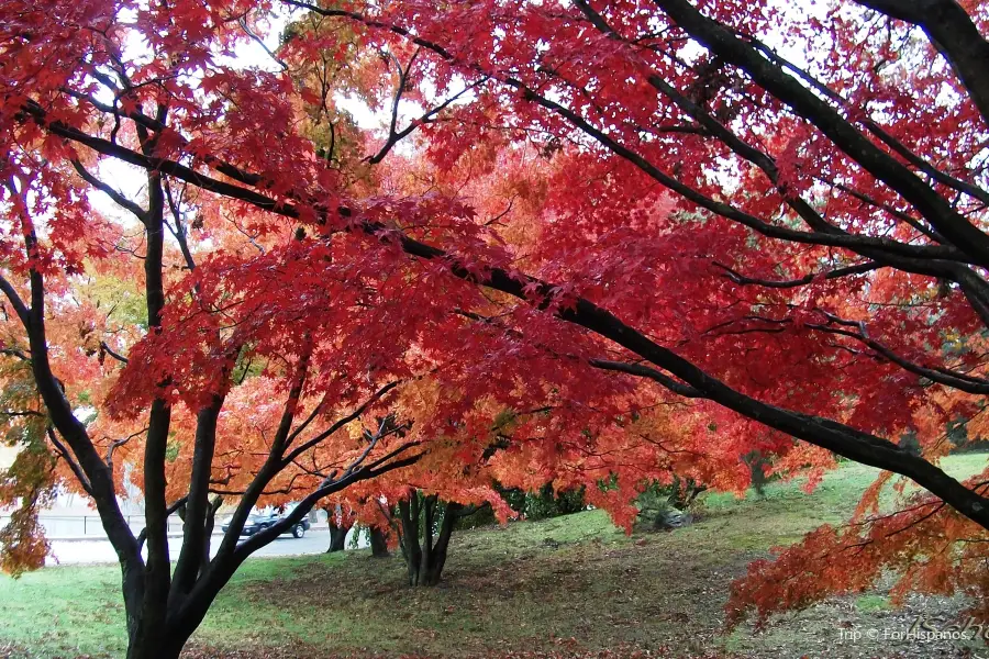 Roger Williams Park