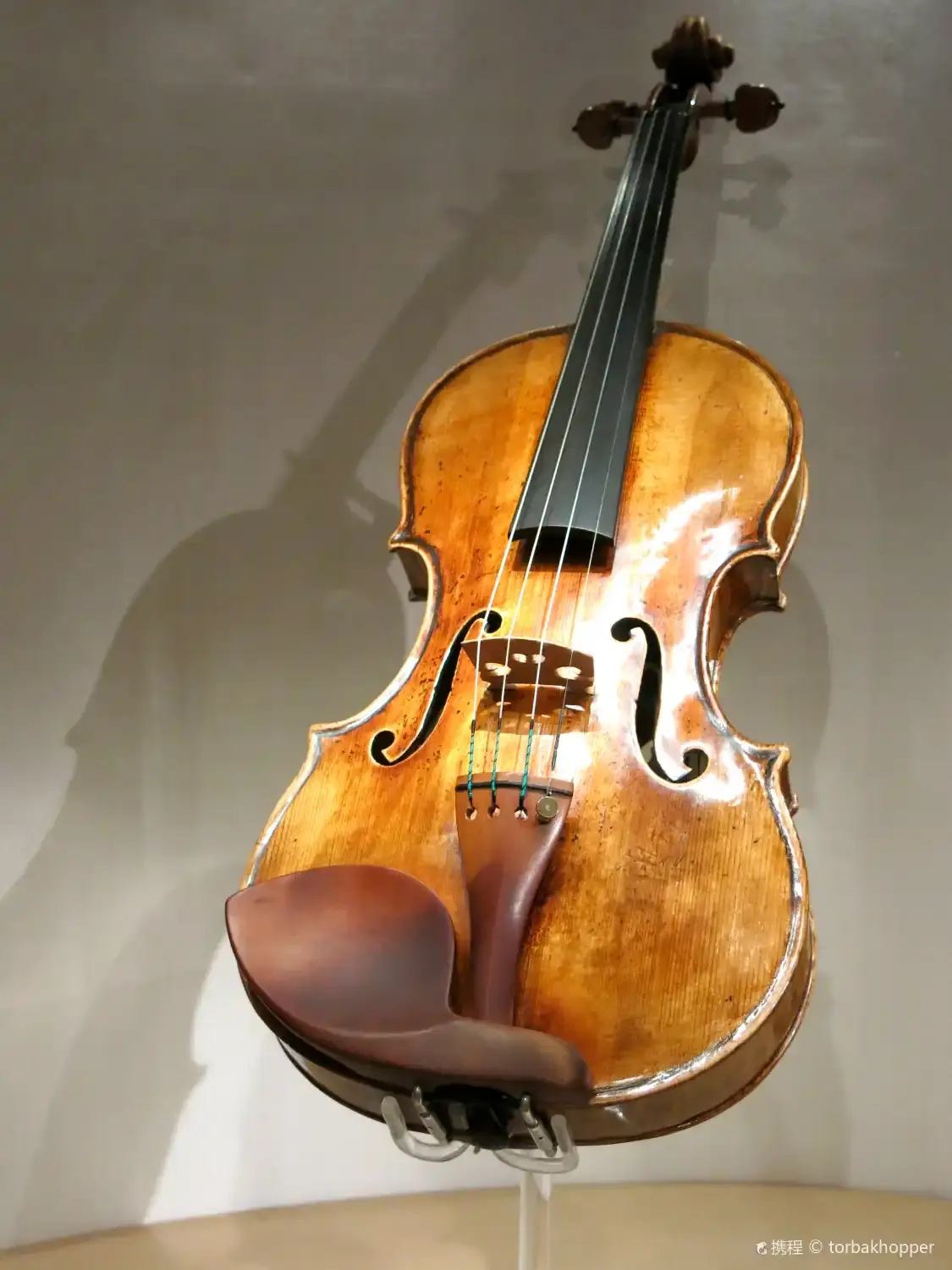 Các khách sạn gần Richard-Wagner-Staetten Graupa, Jagdschloss