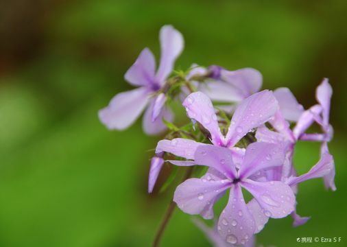 The State Botanical Garden of Georgia