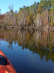 Beaver Lake