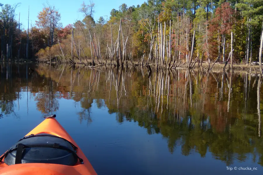 Beaver Lake