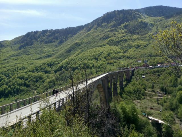 塔拉河大橋
