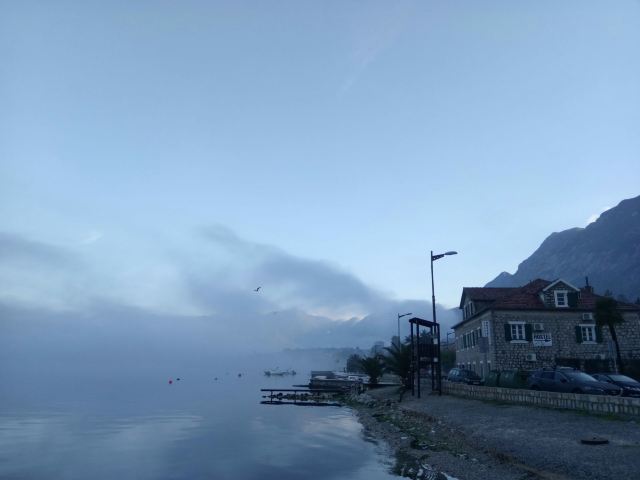 Kotor
