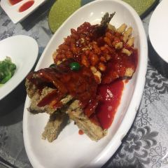 Song helou User Photo