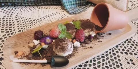 貓掌柜(宏大店)