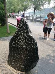Luoyang Peony Flower Stone
