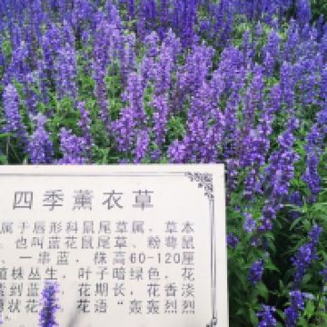 評論圖片 6