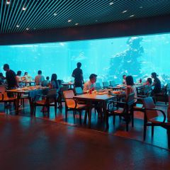 Aqua - Aquarium Restaurant User Photo