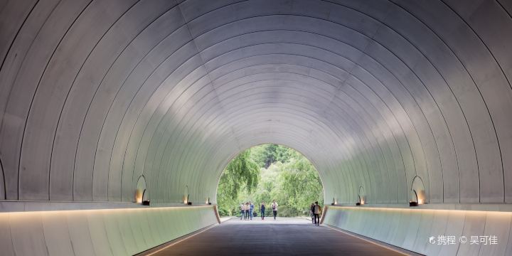 Miho Museum