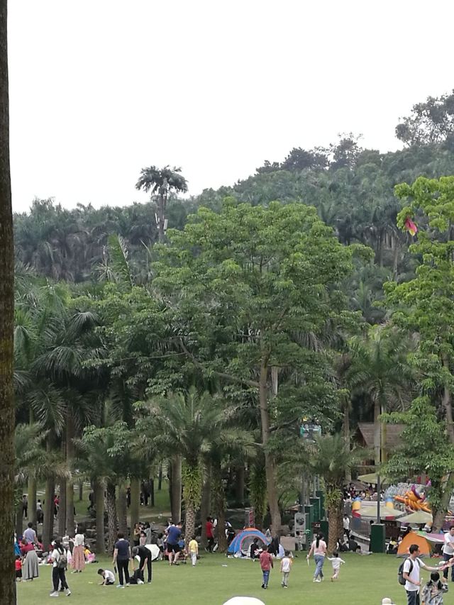 Palm Garden
