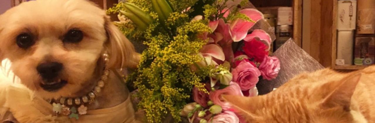 索瑪花開奶茶鋪