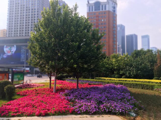 오리허공원