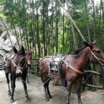 評論圖片 3