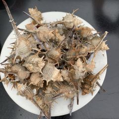 Shiyuechuan Restaurant (weizhoudao) 여행 사진